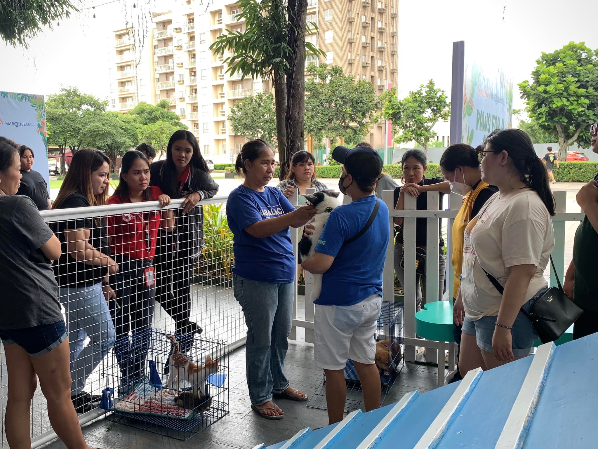 Volunteers setting up the adoption event