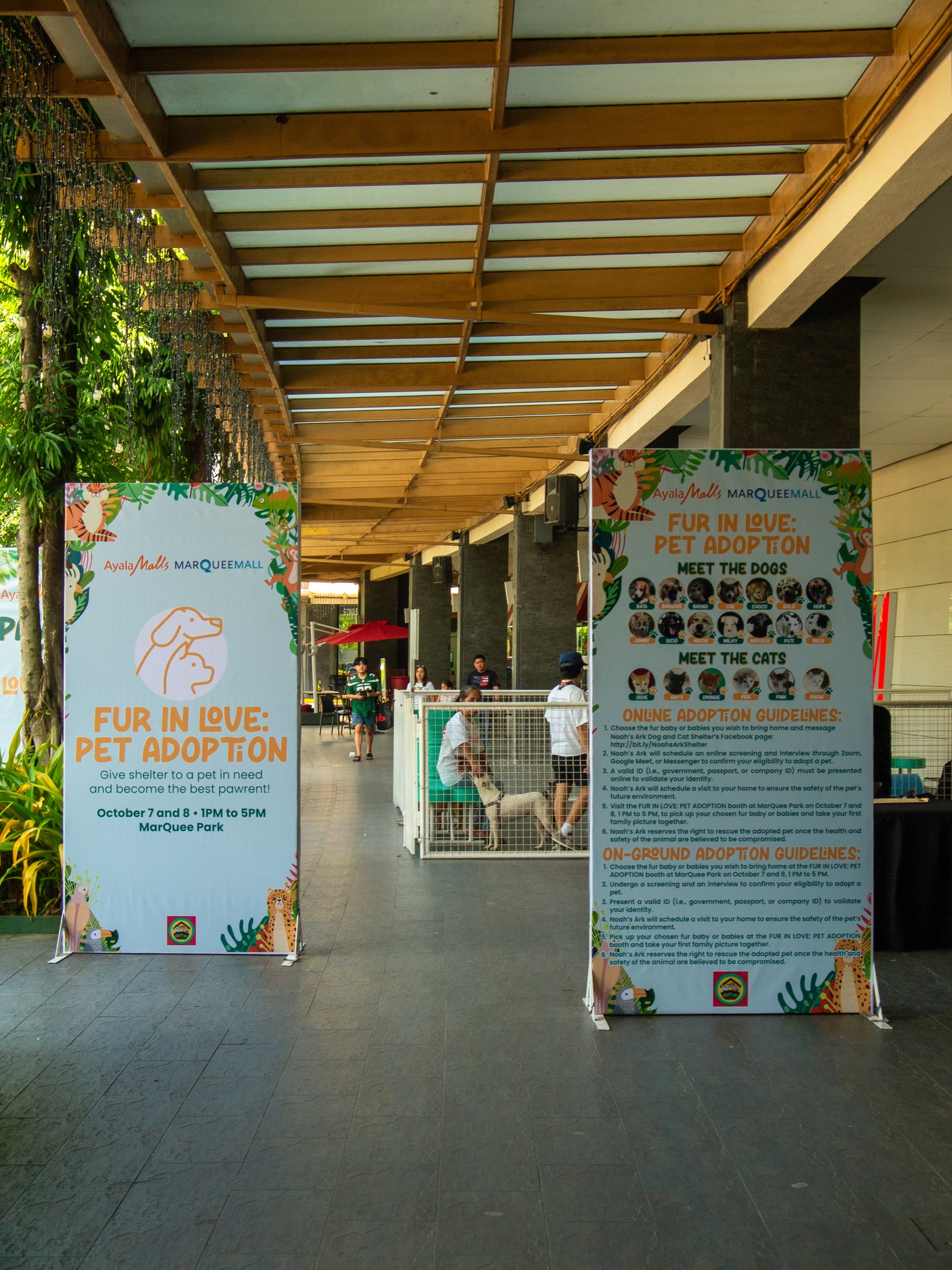 Happy adopted dog with new owner