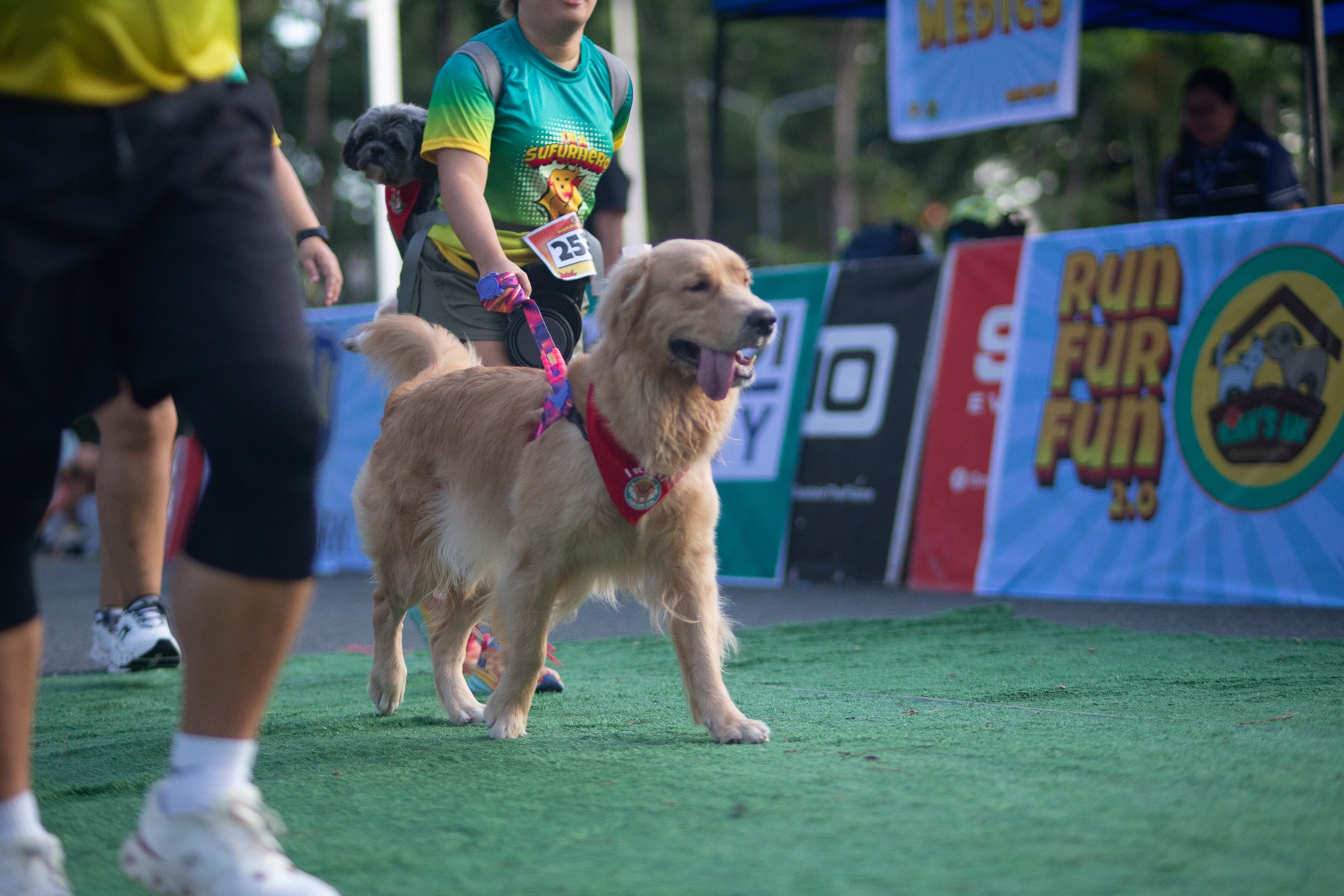 Run Fur Fun event logo