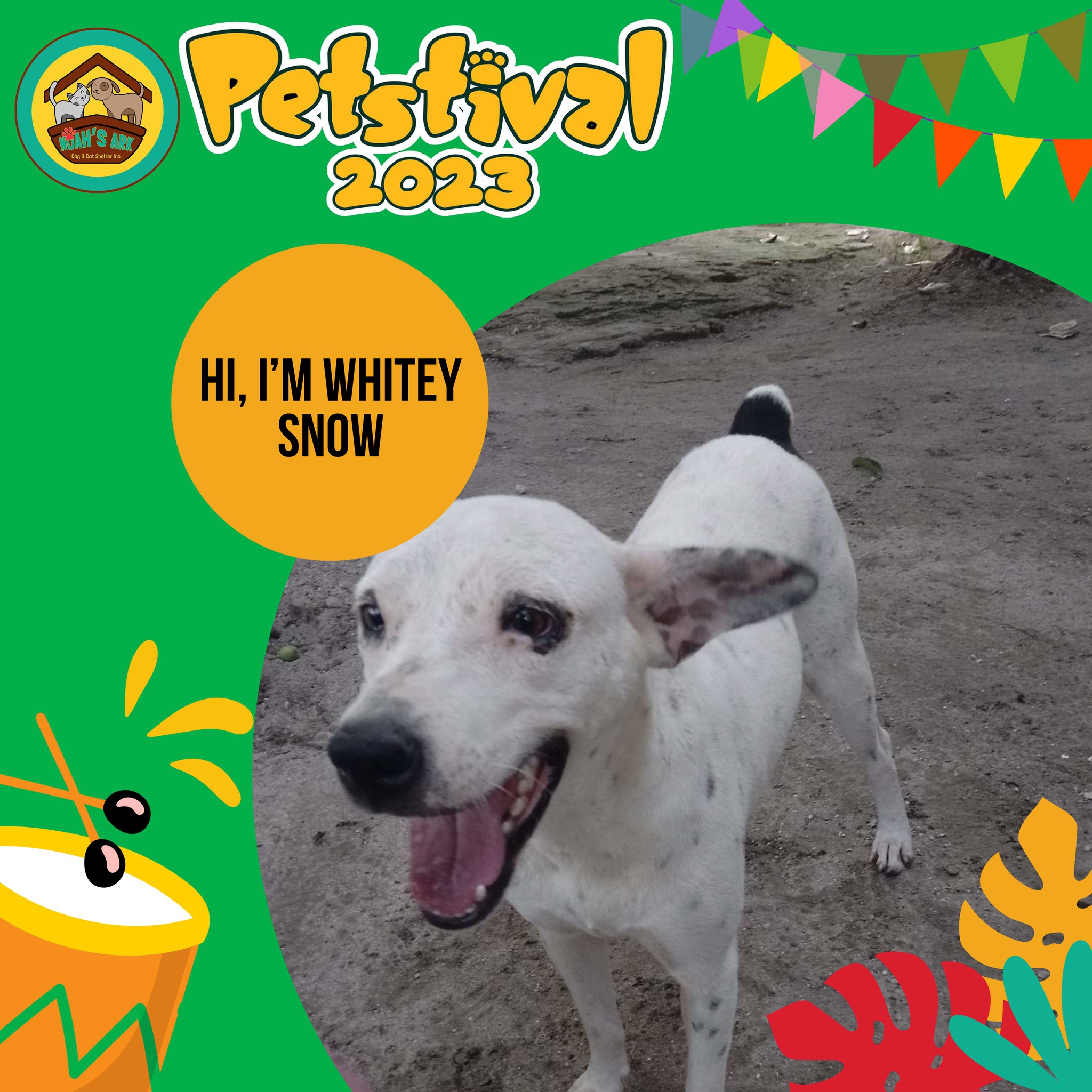 Petstival logo and date